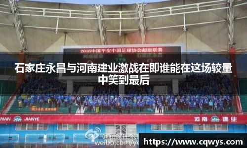 彩神VI首页官网